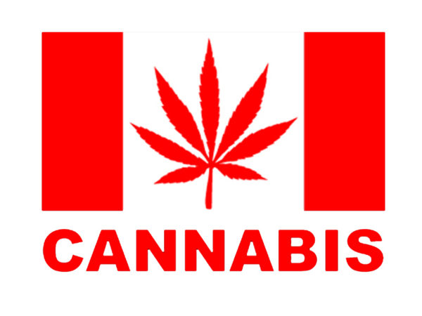 Tee Shirt Blanc Drapeau Canada Feuille Rouge de Cannabis Manches Courtes